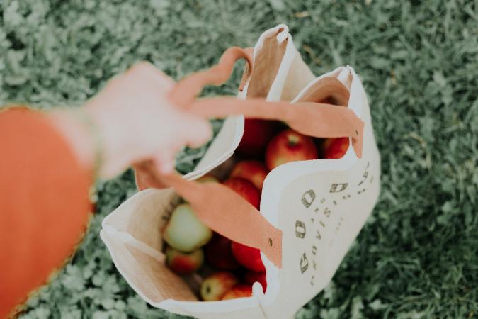 Comment planifier un séminaire d’entreprise éco-responsable ?
